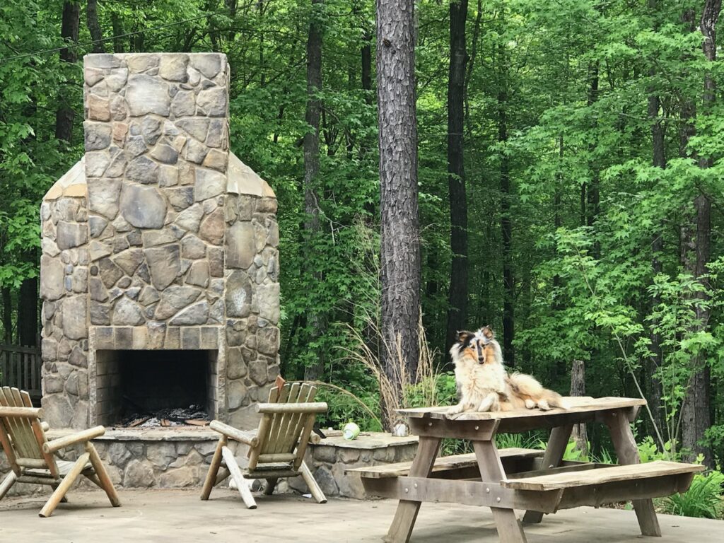 Outdoor stone fireplace and wooden seating area surrounded by lush green forest, with a dog resting on a picnic table.