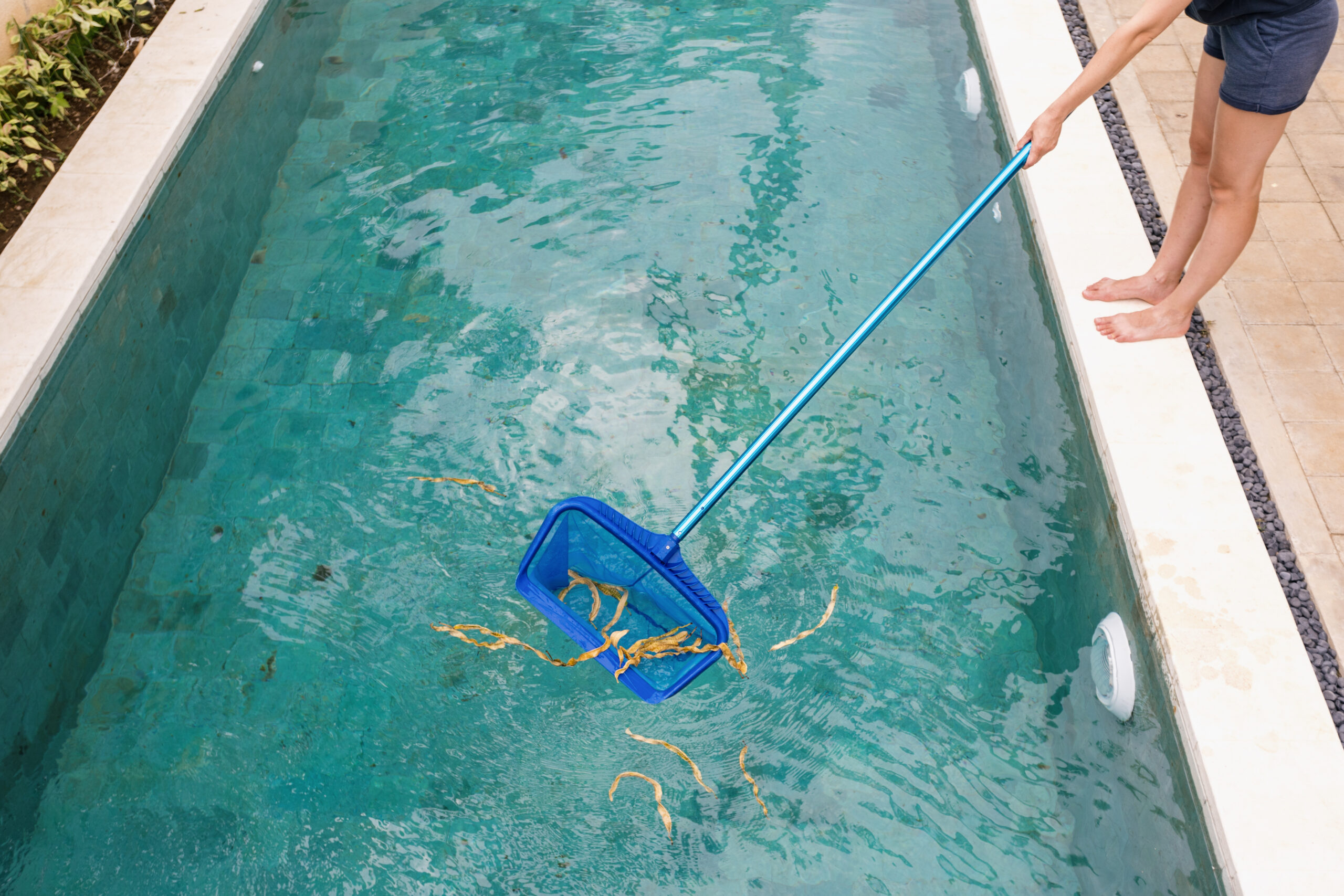 photo of a person cleaning a dirty swimming pool with a skimmer net tool